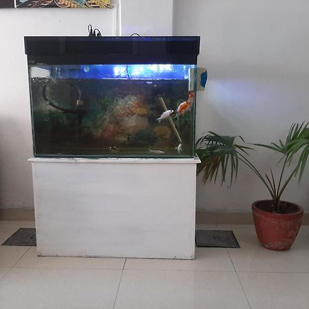 Hotel Lake N Yeti Pokhara Luaran gambar