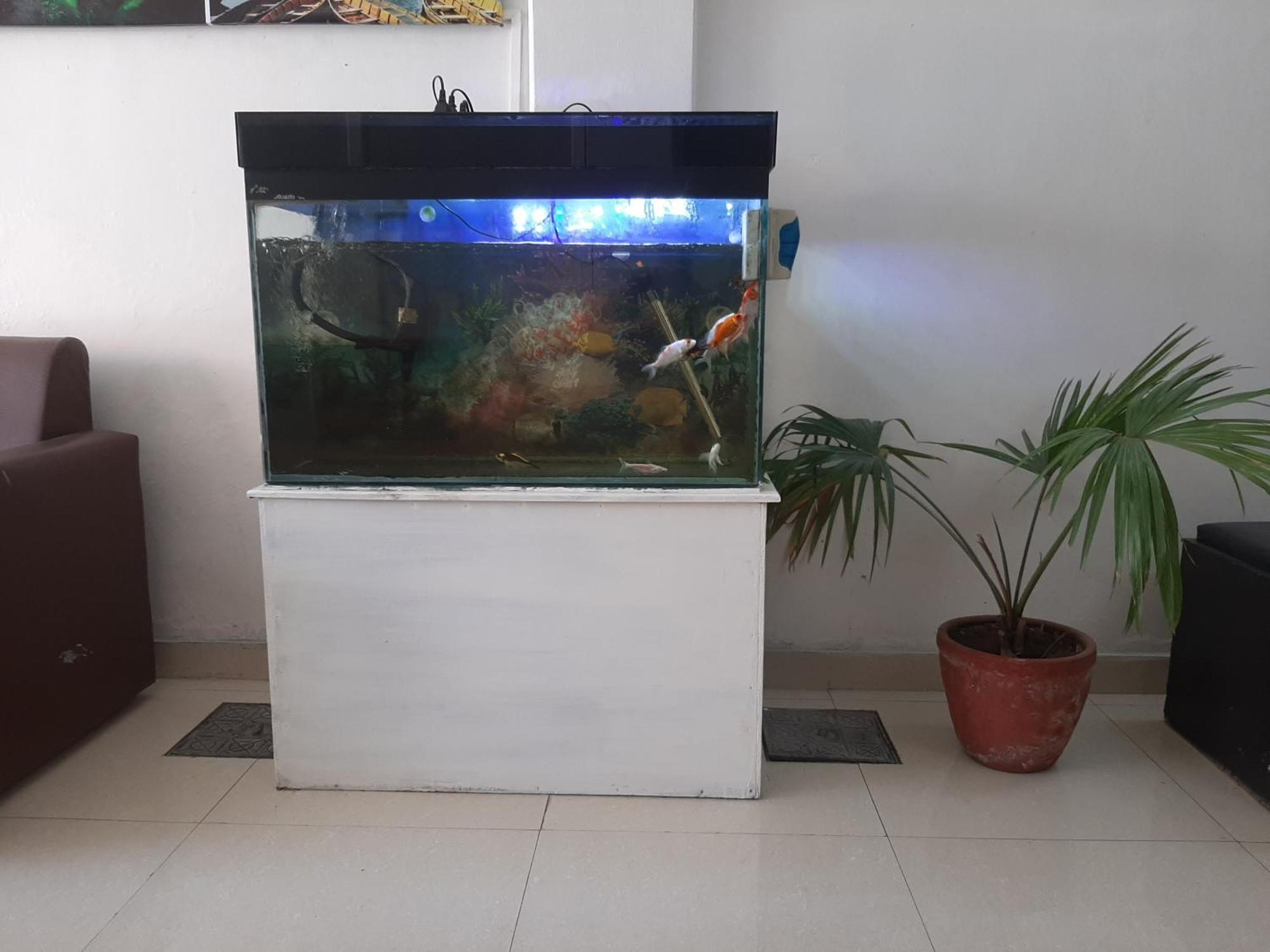 Hotel Lake N Yeti Pokhara Luaran gambar